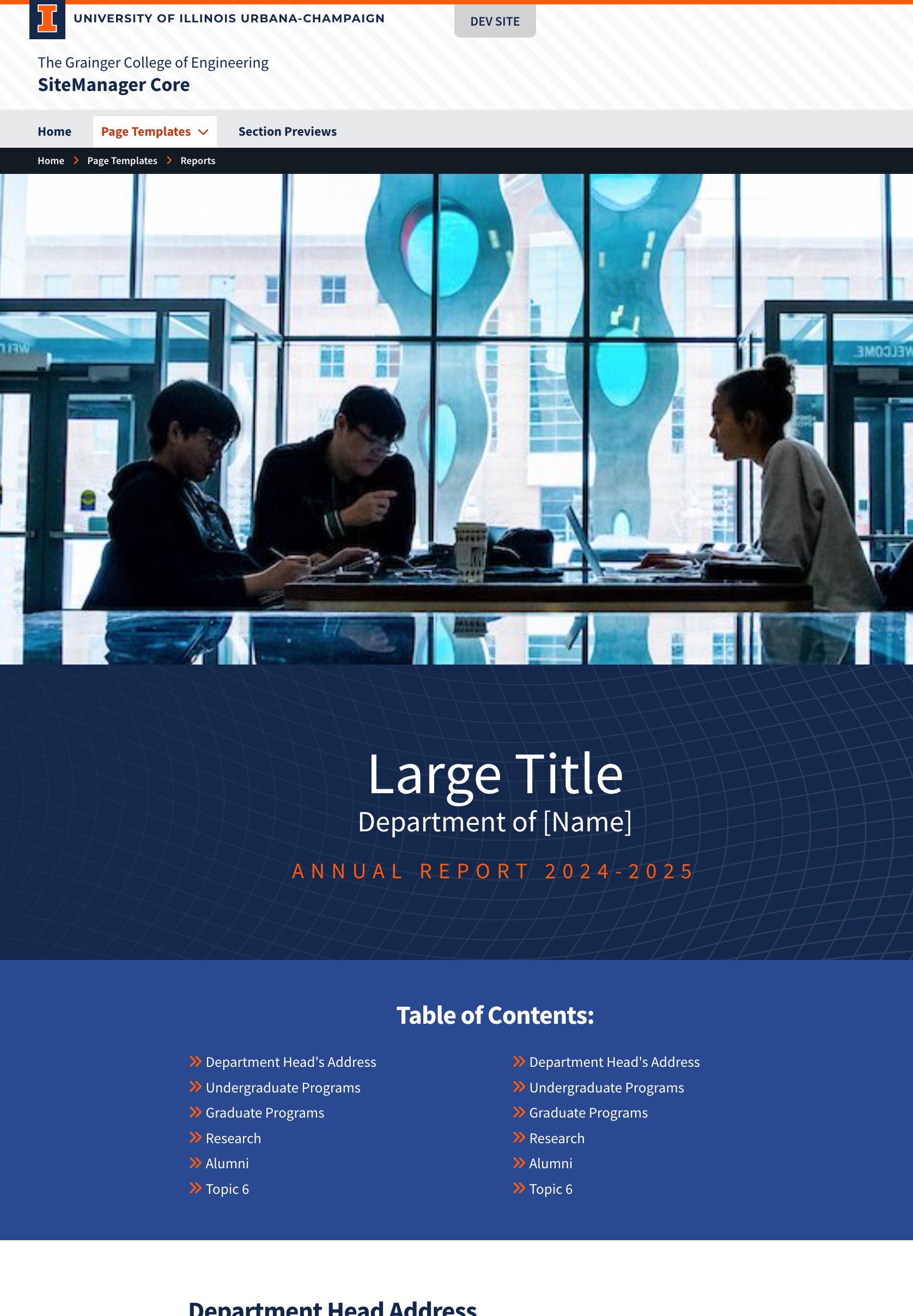 Reports example