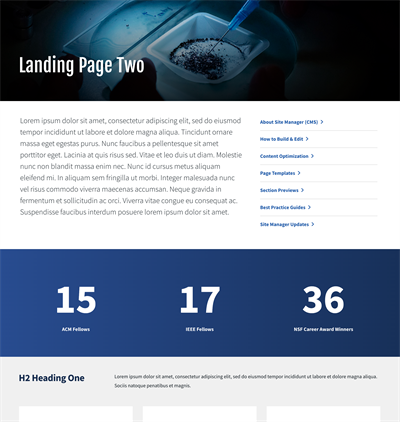 Landing Page Two example
