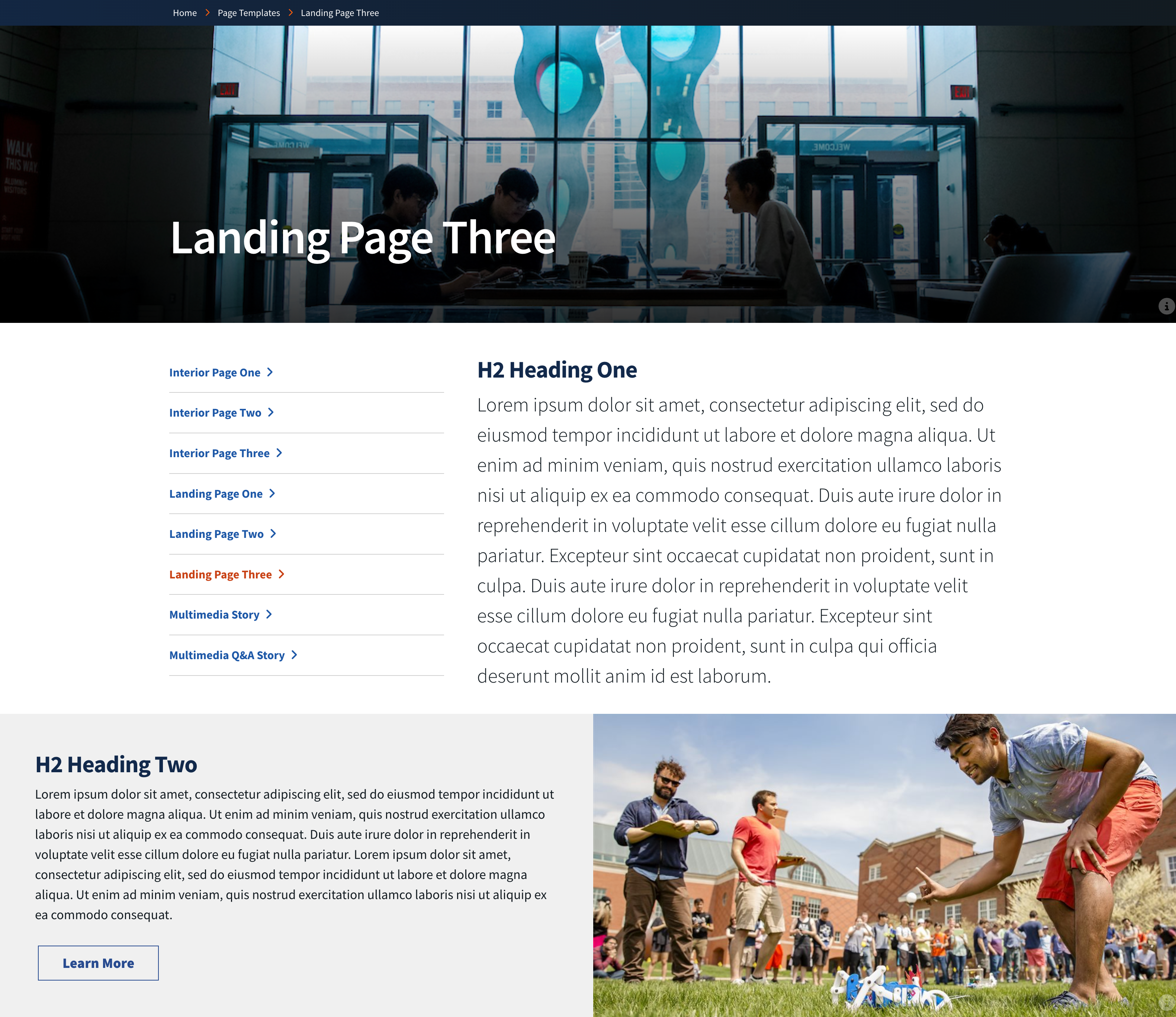 Landing Page 3 example