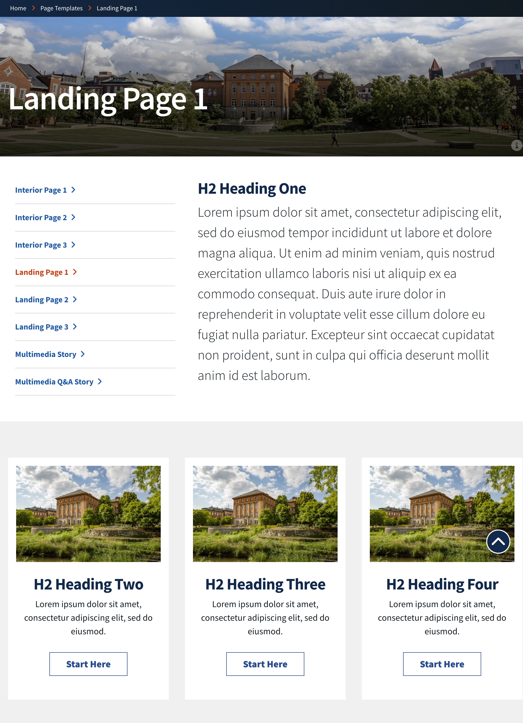 Landing Page 1 example